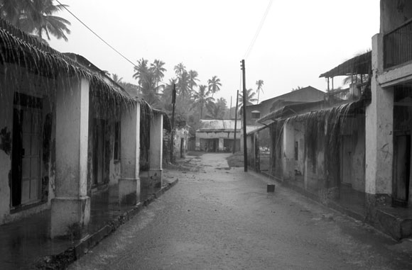 Monsoon Downpour